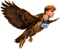 Talon flying with wings spread wide